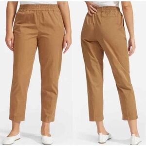 Everlane Tan Easy Chino Pants
